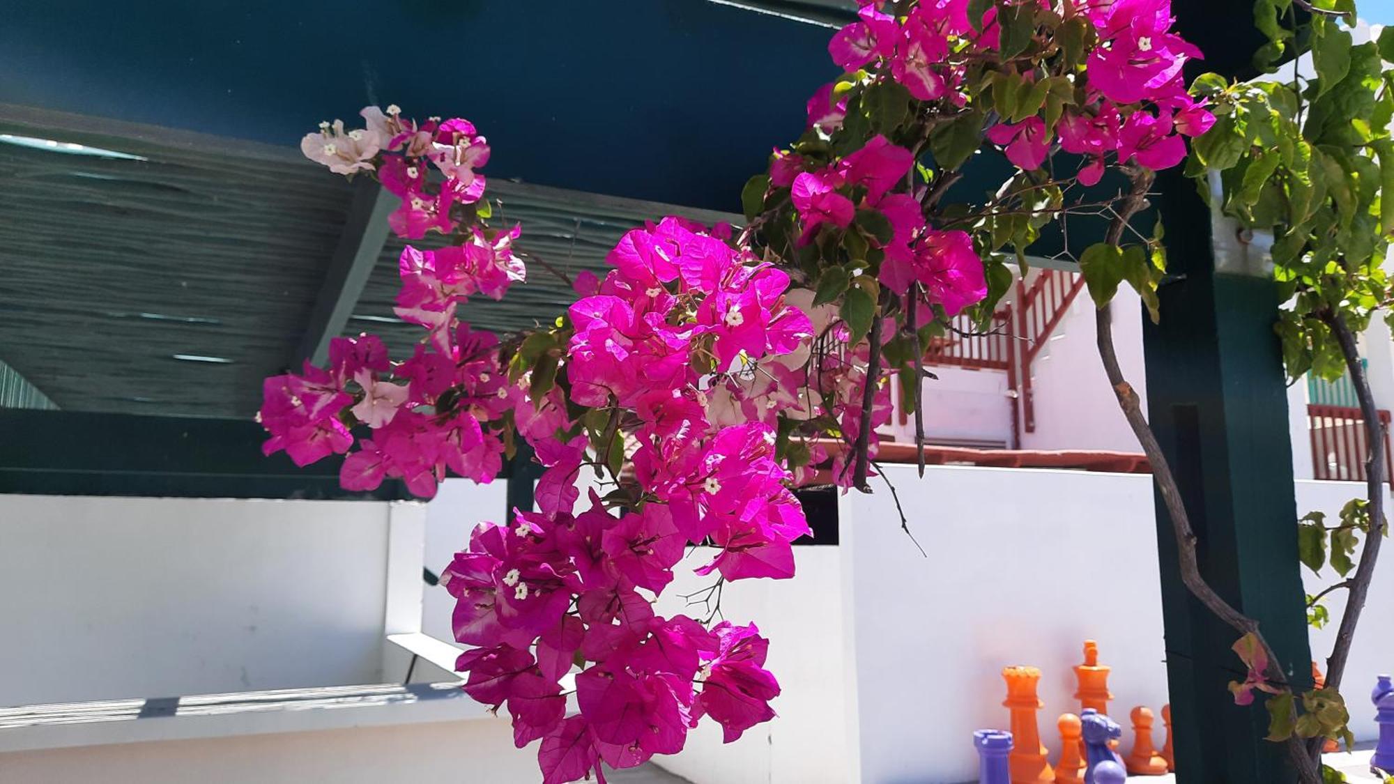 Ons Fontein Villa Langebaan Dış mekan fotoğraf